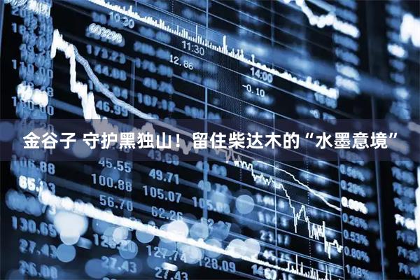 金谷子 守护黑独山！留住柴达木的“水墨意境”