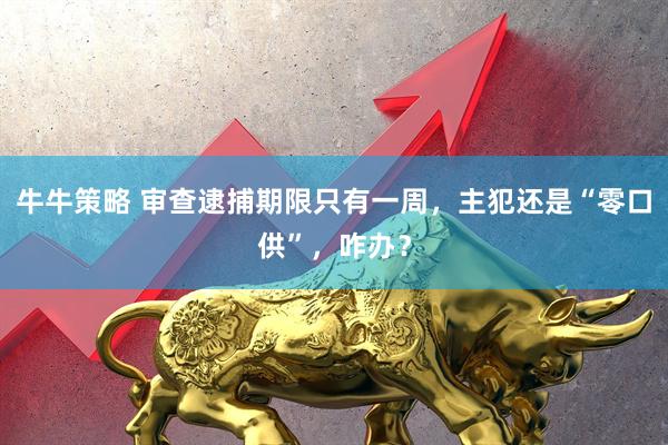 牛牛策略 审查逮捕期限只有一周，主犯还是“零口供”，咋办？