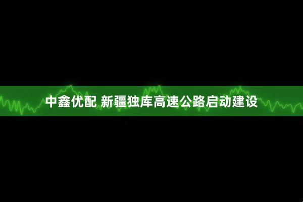 中鑫优配 新疆独库高速公路启动建设