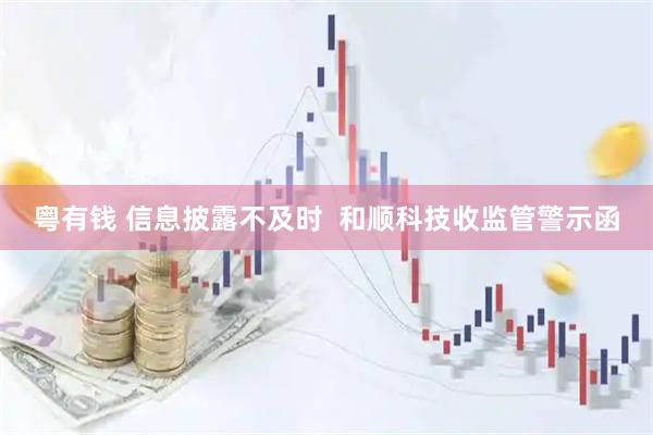 粤有钱 信息披露不及时  和顺科技收监管警示函