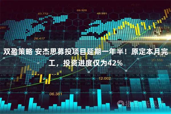 双盈策略 安杰思募投项目延期一年半！原定本月完工，投资进度仅为42%