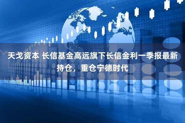 天戈资本 长信基金高远旗下长信金利一季报最新持仓，重仓宁德时代