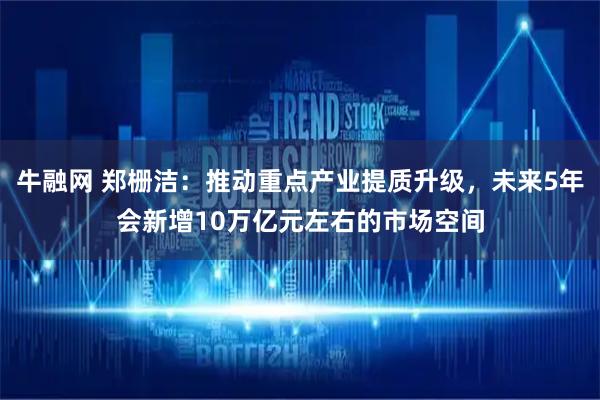 牛融网 郑栅洁：推动重点产业提质升级，未来5年会新增10万亿元左右的市场空间