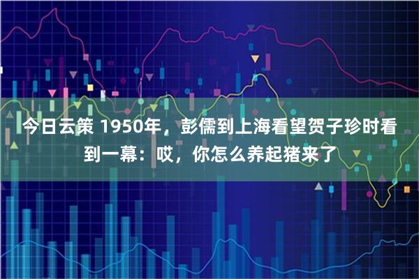 今日云策 1950年，彭儒到上海看望贺子珍时看到一幕：哎，你怎么养起猪来了