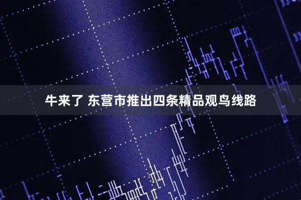 牛来了 东营市推出四条精品观鸟线路