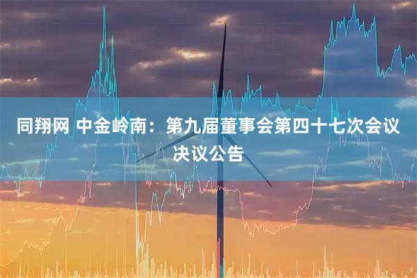 同翔网 中金岭南：第九届董事会第四十七次会议决议公告