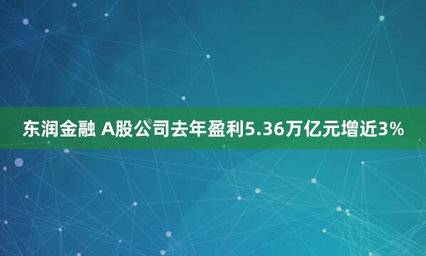 东润金融 A股公司去年盈利5.36万亿元增近3%