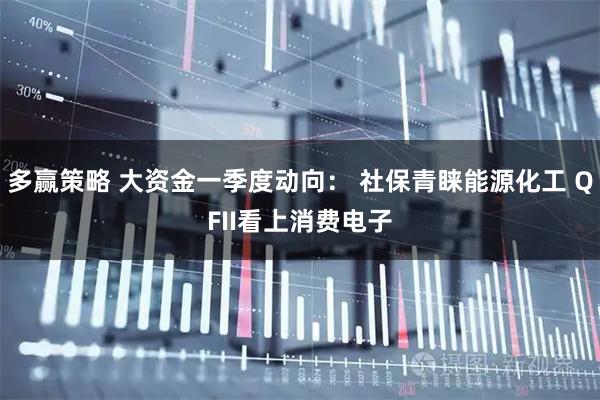 多赢策略 大资金一季度动向： 社保青睐能源化工 QFII看上消费电子